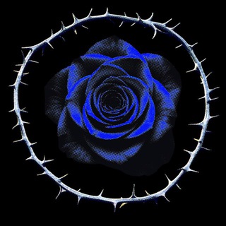 Telegram profile photo for ༺ ʙʀᴇᴀᴛʜɴᴇᴛ ༻