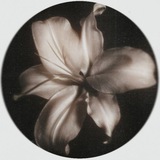 Telegram profile photo for kinda rested 𝐋ℑ𝐋𝐘 ( 𝐒 ).