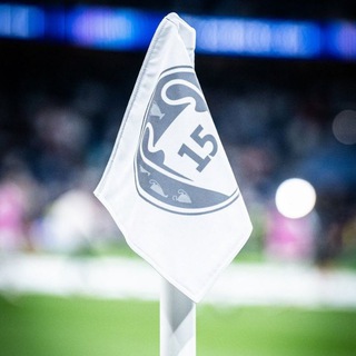 Telegram profile photo for RMVideo