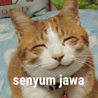 Telegram profile photo for A&J | USN PRICE DI PIN TERBARU