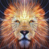 Telegram profile photo for Persian Empire