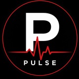 Telegram profile photo for Pulse