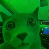 Telegram profile photo for Miuku pankki