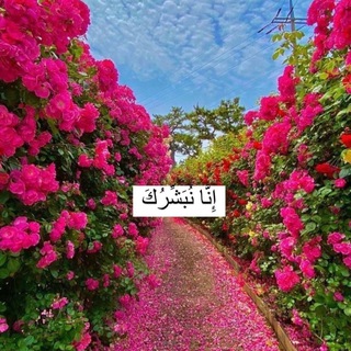 Telegram profile photo for طُمأنينة 💥♩