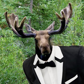 Telegram profile photo for ну и что что я лис