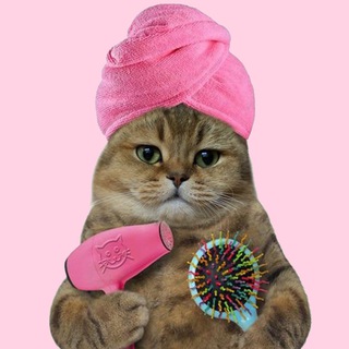 Telegram profile photo for Я девочка, мне можно!