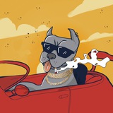 Telegram profile photo for Sup dawg