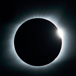 Telegram profile photo for Terra Drops