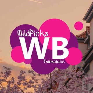 Telegram profile photo for WildPicks | Подборки wildberries