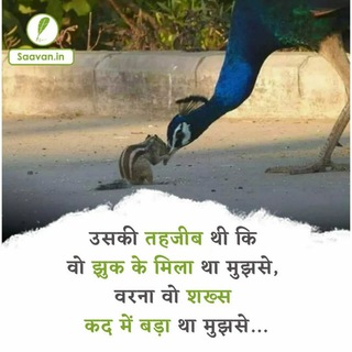 Telegram profile photo for Sad shayari all Hindi English