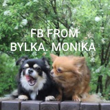 Telegram profile photo for Фотобатлы от Булки/Моники