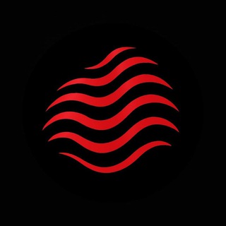 Telegram group profile photo for MuzzSnap๐จ๐ผโ๐ป๐ง๐ฝโ๐ป๐ฉ๐ผโ๐ป