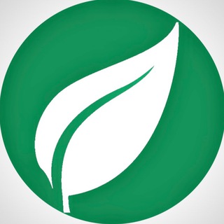 Telegram profile photo for Лист