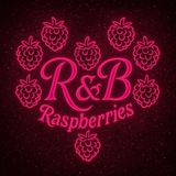 Telegram profile photo for 💕R&B (raspberries)💕