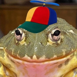 Telegram profile photo for Вестник дури