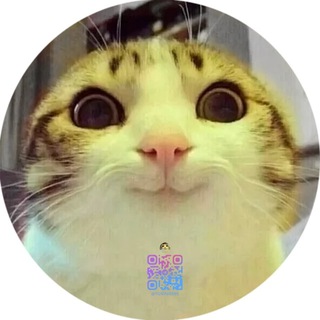 Telegram profile photo for 台灣老司機入口(暗黑界