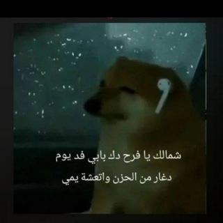 Telegram profile photo for مِيمز دمعة مطي