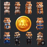 Telegram profile photo for کانال ایردراپ hamester kombat