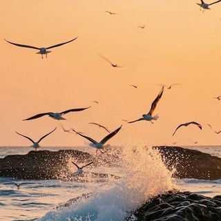 Telegram profile photo for مُـذَكَـرآتـي