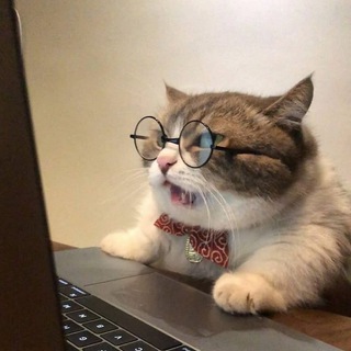 Telegram profile photo for Анатолий Севрук / Сайты