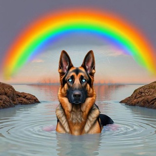 Telegram profile photo for Кинолог и Я