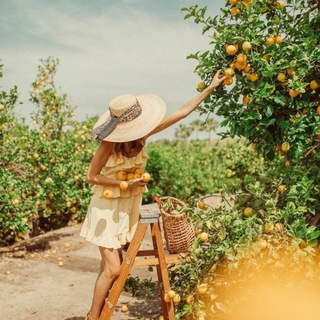Telegram profile photo for <بِـه ليـ🍋ـمو>
