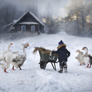 Telegram profile photo for ПРОСТО О РОДНОМ.