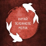 Telegram profile photo for КИТАЙ головного мозга 🪩