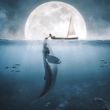 Telegram profile photo for proofs кита🐋