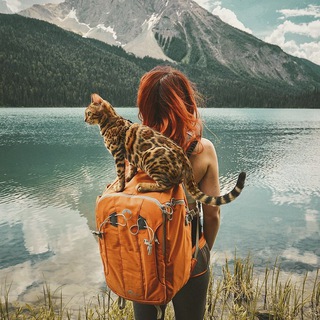 Telegram profile photo for Путешествия | Туризм | #ЗаГраницу
