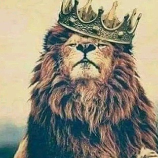 Telegram profile photo for مشاركات ومعلومات قيمه