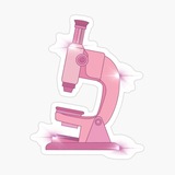Telegram profile photo for Отзывы о занятиях с Полиной🤍