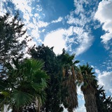 Telegram profile photo for مِش مُهِم