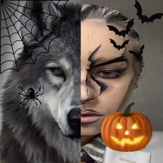 Telegram profile photo for кира орео | 𝐦𝐢𝐨𝐥𝐦𝐨˚₊*