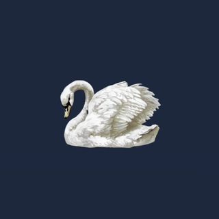 Telegram profile photo for ودق | استغفر الله 🦢🤍