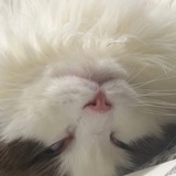 Telegram profile photo for Toby On Za Portal