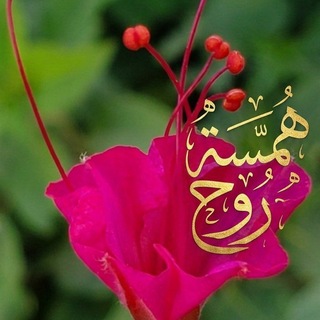 Telegram profile photo for همسة روح