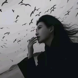 Telegram profile photo for 郑润泽的致富之路