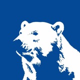Telegram profile photo for Русский Медведь