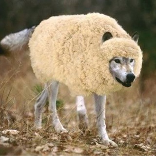 Telegram profile photo for Она вам не Кристина