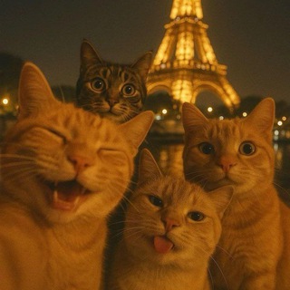 Telegram group profile photo for Chat общения | Chat 24/7