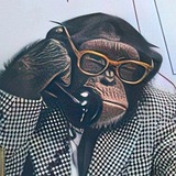 Telegram profile photo for BONOBO Одежда и обувь