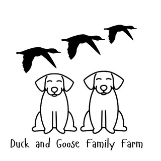 Telegram profile photo for Duck and Goose Family Farm