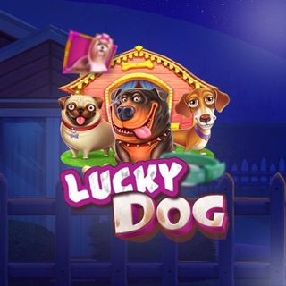 Telegram profile photo for lucky dog