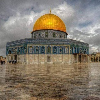 Telegram profile photo for البدر المنير