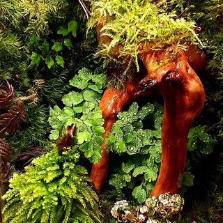 Telegram profile photo for Masha Florarium & mossarium