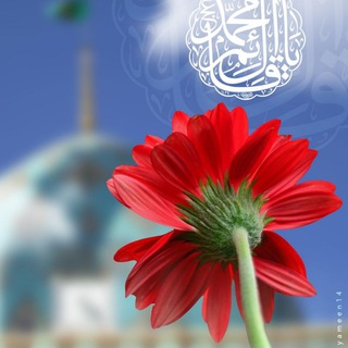 Telegram profile photo for قلوبنا إجتمعت على حب إمام زماننا