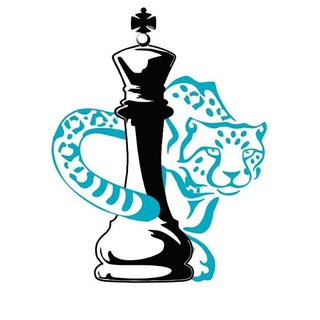 Telegram profile photo for Федерация шахмат города Алматы