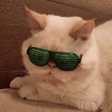 Telegram profile photo for Дюбс