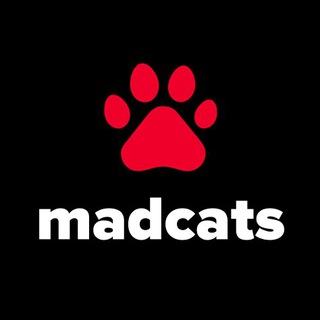 Telegram profile photo for Котики — MadCats.ru